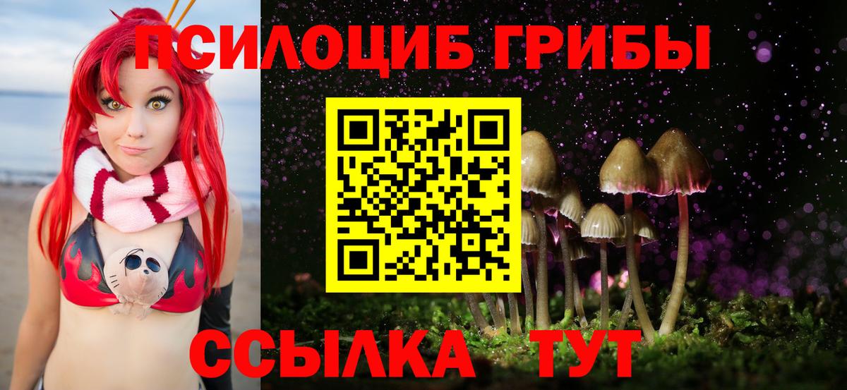 Галлюциногенные грибы Psilocybine cubensis Чебаркуль