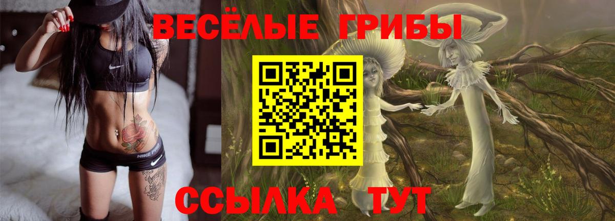 Чебаркуль  Псилоцибиновые грибы MAGIC MUSHROOMS  Галлюциногенные грибы мицелий  купить наркоту  Вход с VPN 